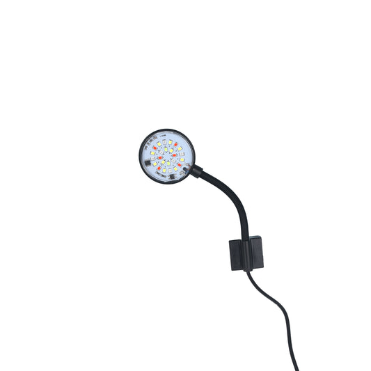 Y-3.5W | LED LAMP